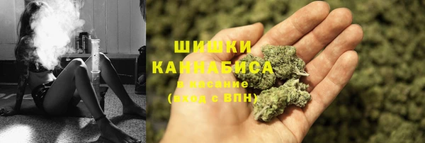 мдпв Богородицк