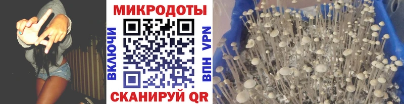 Галлюциногенные грибы Psilocybine cubensis  маркетплейс как зайти  Вятские Поляны  где купить наркоту 