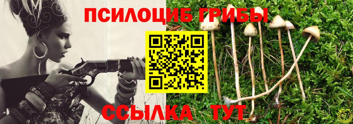 Псилоцибиновые грибы мицелий Вятские Поляны