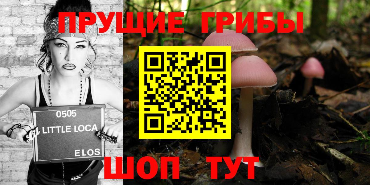 Галлюциногенные грибы Magic Shrooms  Галлюциногенные грибы Psilocybe  Вятские Поляны 