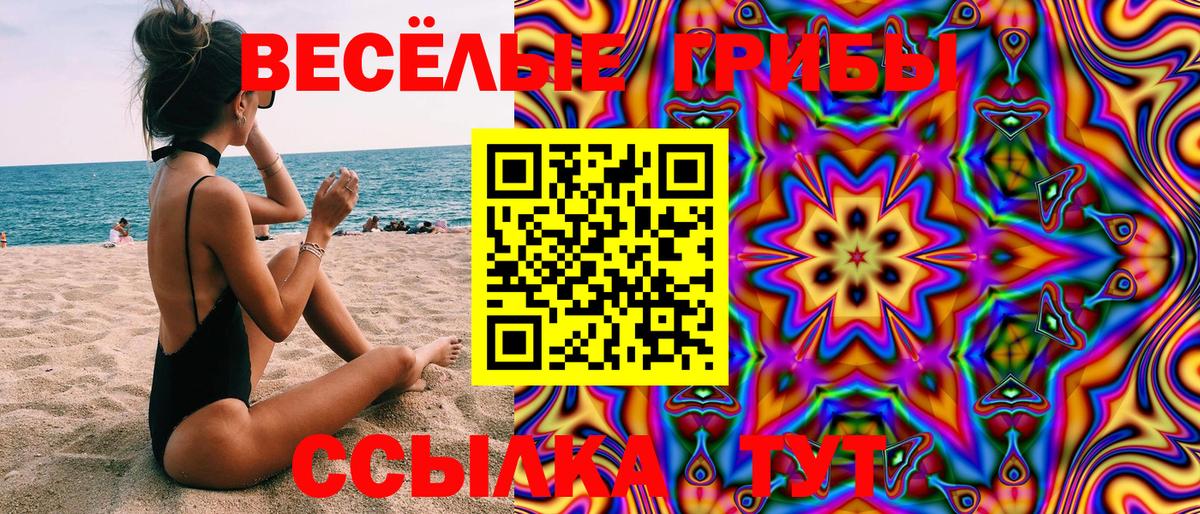 Псилоцибиновые грибы Magic Shrooms  Вход с VPN  Вятские Поляны  Галлюциногенные грибы GOLDEN TEACHER 